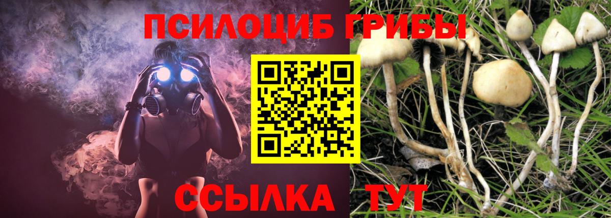 Псилоцибиновые грибы Psilocybe  Вход с VPN  Новочеркасск  Псилоцибиновые грибы мухоморы 