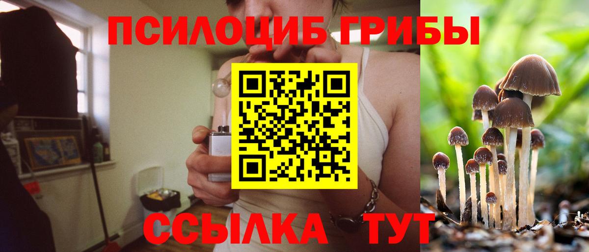 Галлюциногенные грибы MAGIC MUSHROOMS Новочеркасск